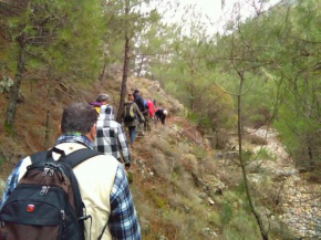 Spitakia Avgonima Chios